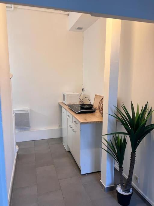 Appartement Idealement Situe Montereau-faut-Yonne Exterior foto
